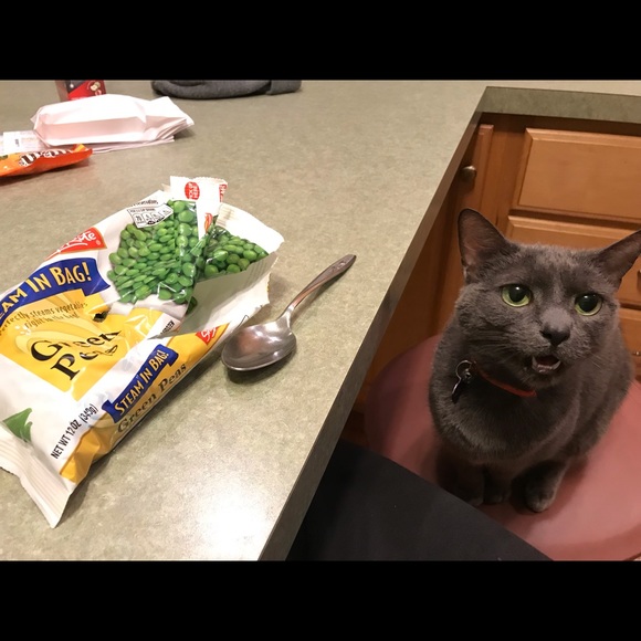 Meet your Posher, Katrina - Picture 2 of 8